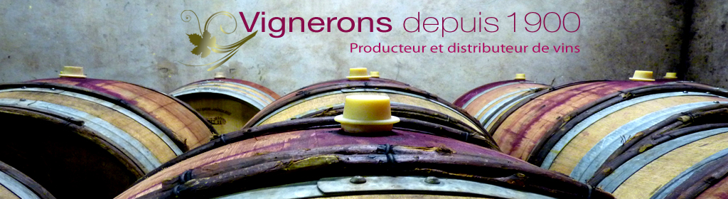 Vignobles Bodillard - Villié Morgon