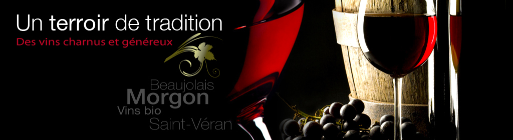 Vignobles Bodillard - Villié Morgon