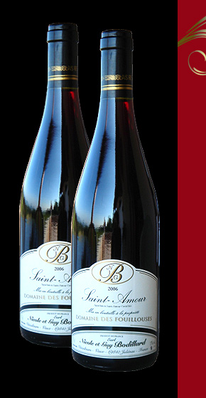 Vin Saint-Amour - Gamay